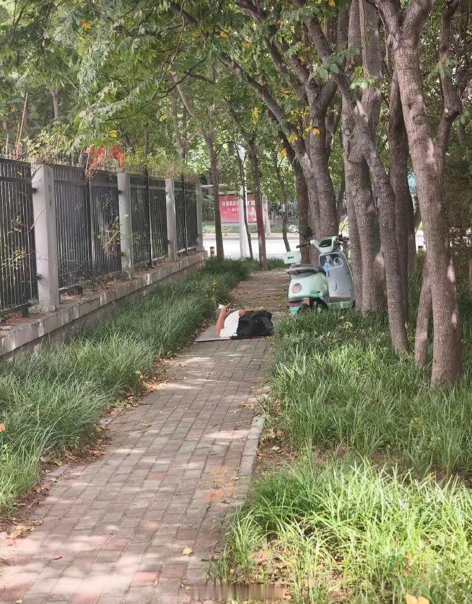 男人最怕的就是失业，这“假装”去上班的哥儿们，在小树林从上午躺到下午。人到中年太