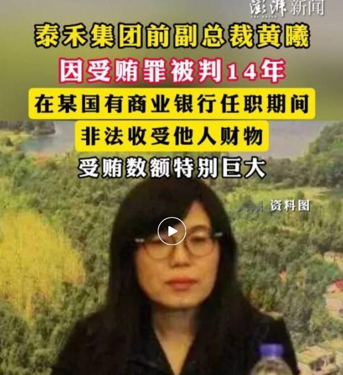 11 月 28 日 “两高” 发布的金融领域职务犯罪典型案例里，那个以政商 “旋