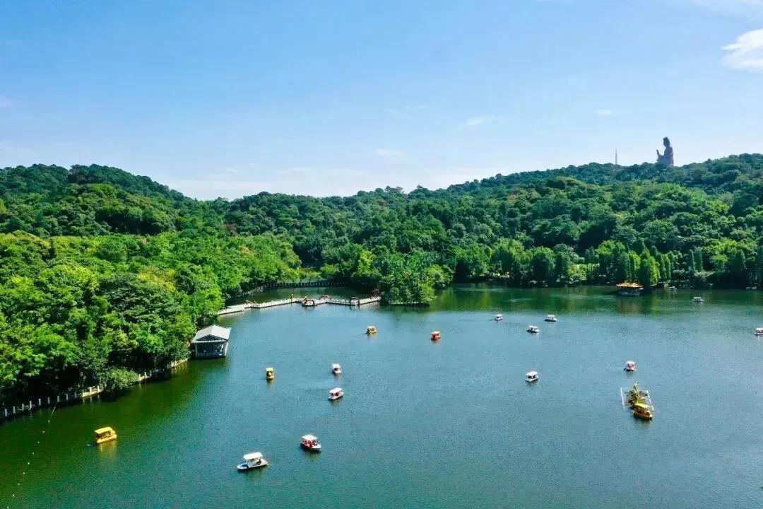 拍一张你的城市美景