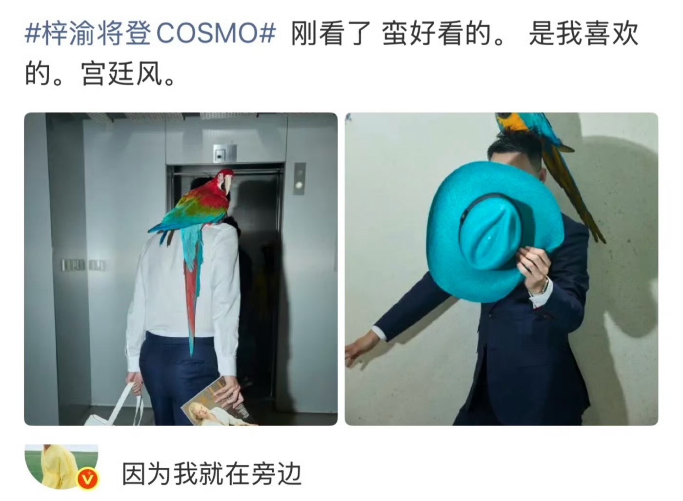 梓渝将登上时尚COSMO，首本五大女刊 