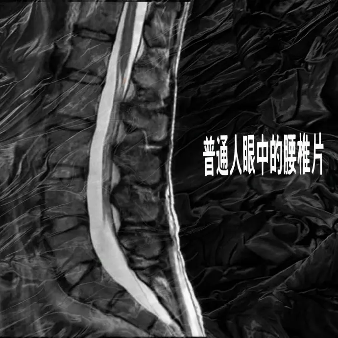 一张图让我带你认识