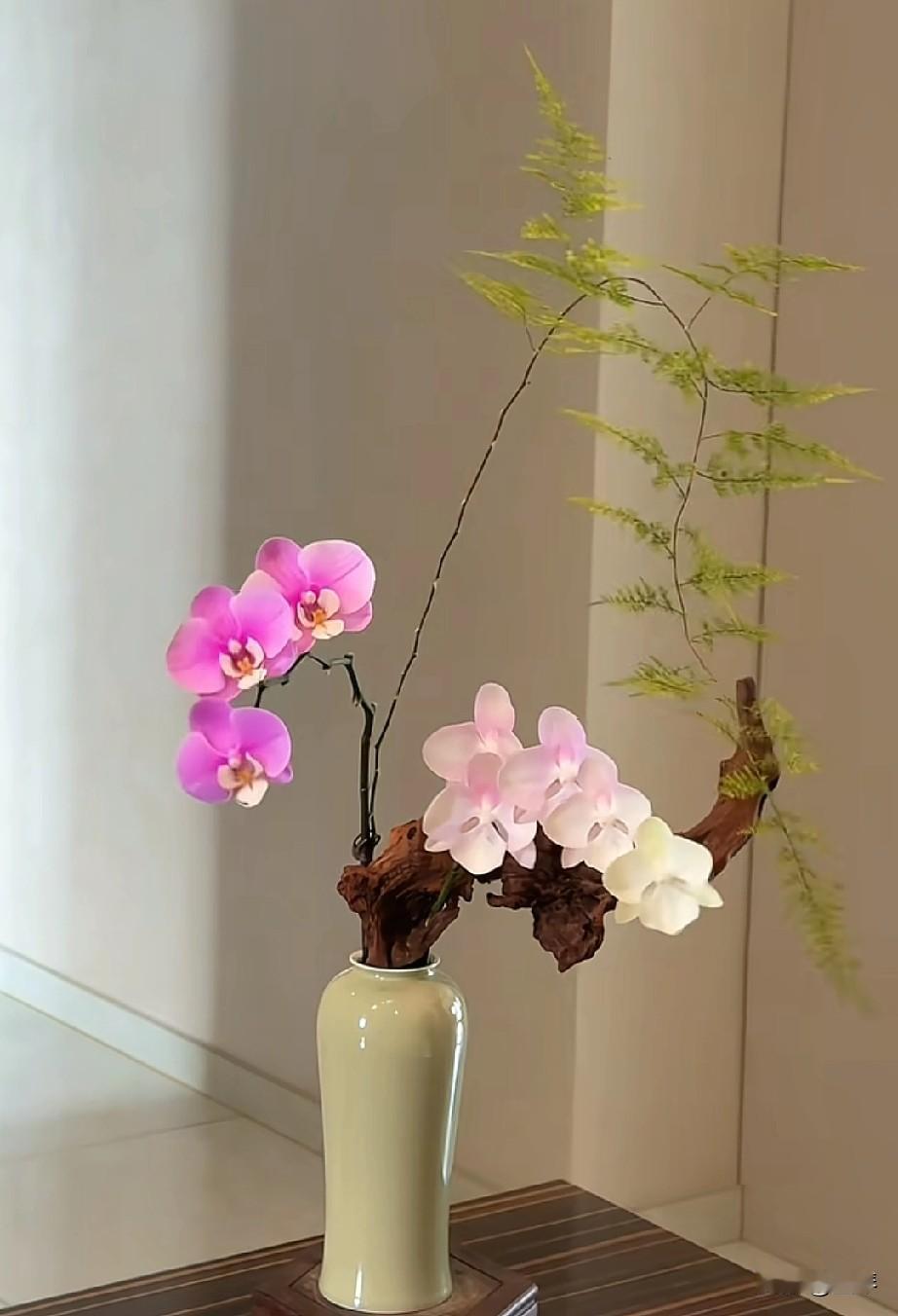 其实，不麻烦别人也是一种教养！


我就是那种属于不愿意麻烦别人，也不喜欢别人麻