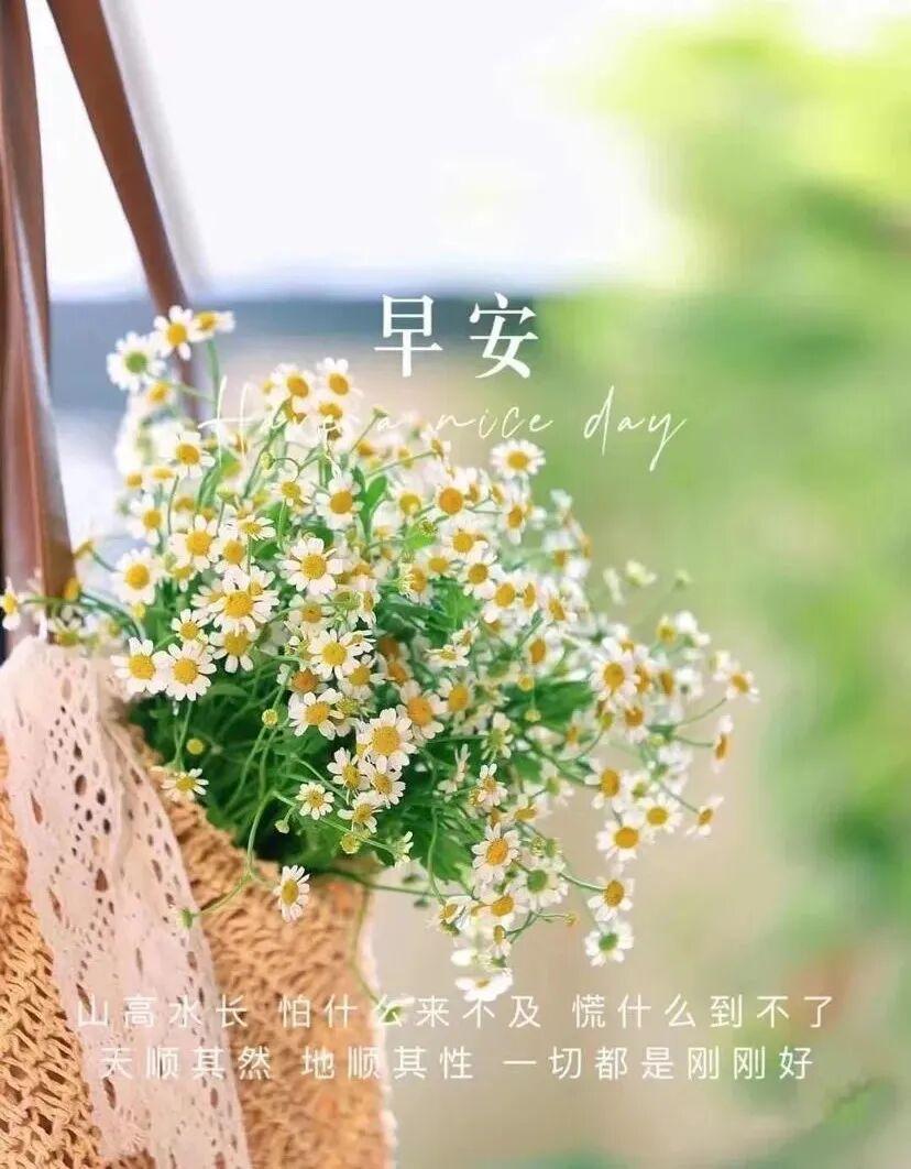 人生如戏，戏如人生，演好自己每天的戏人这一生一场戏 现实不过一场戏 生活如诗亦如