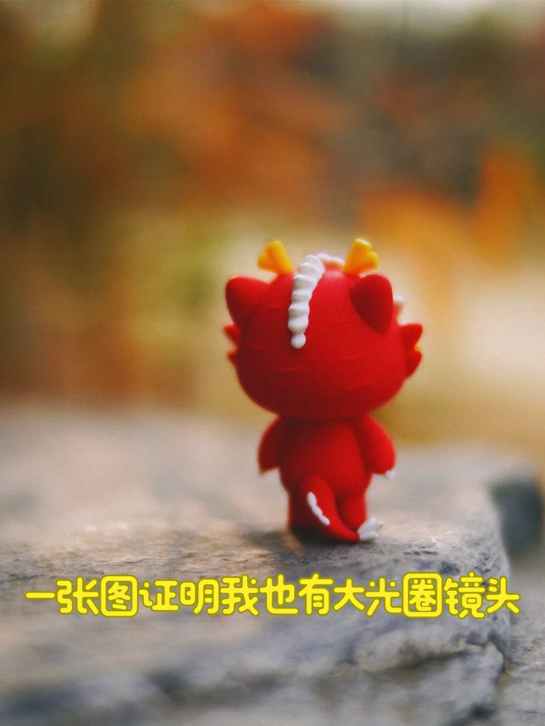 一张图证明我也有大光圈镜头