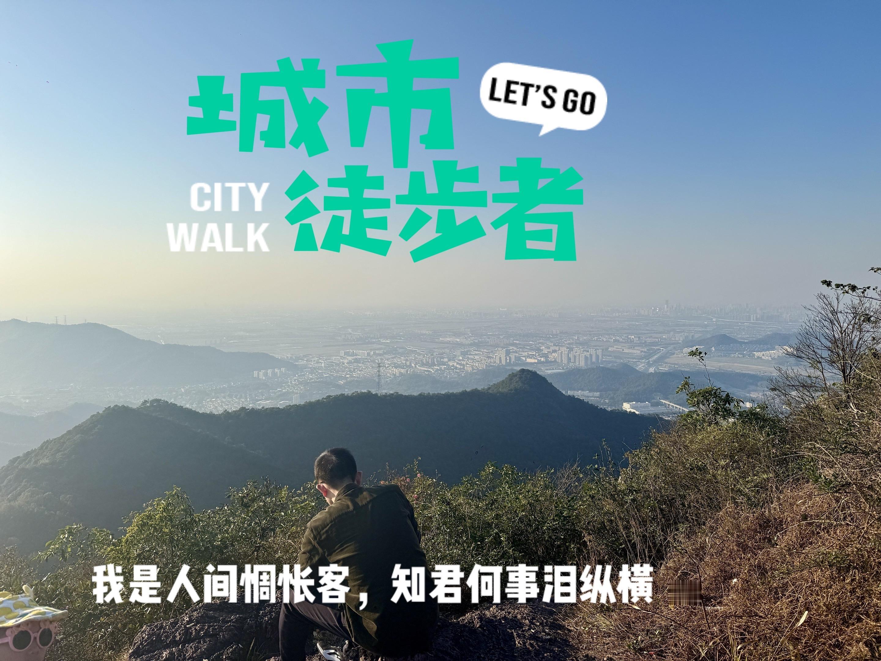 我是人间惆怅客，知君何事泪纵横。登山  ，一览众山小。西岳崚嶒竦处尊...