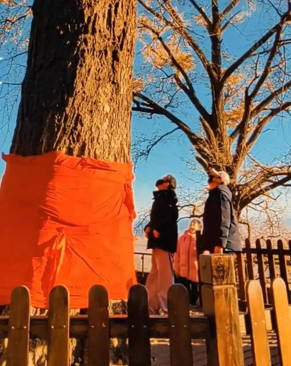 辛柏青再次去大孤山祈福，身形消瘦显无力感，好在还有好友李乃文陪伴同行 
