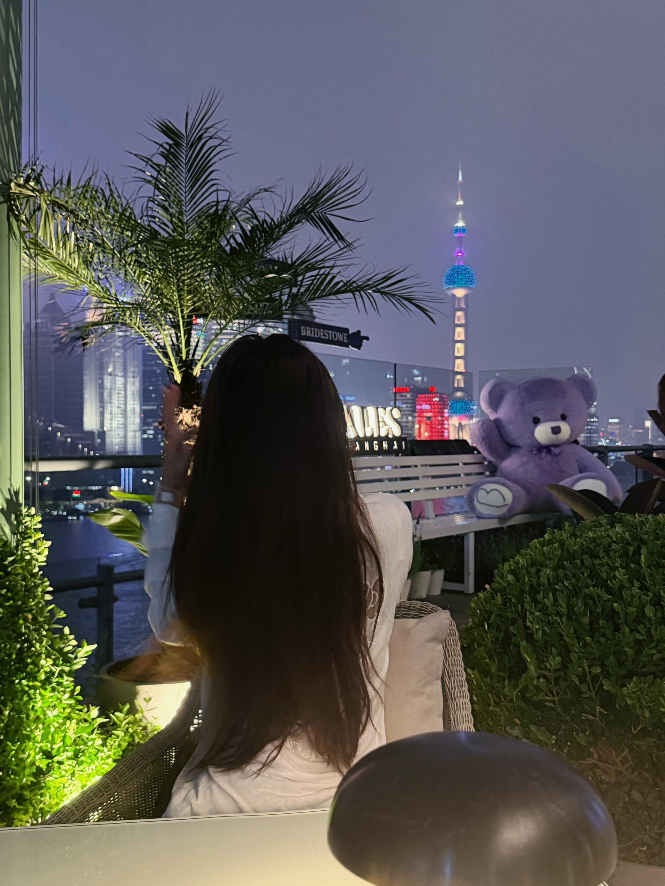 哪里才是她的栖息地呢