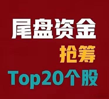 2026年7月6日A股尾盘30分钟资金抢筹前20名1. 三花智控 +21.6亿元
