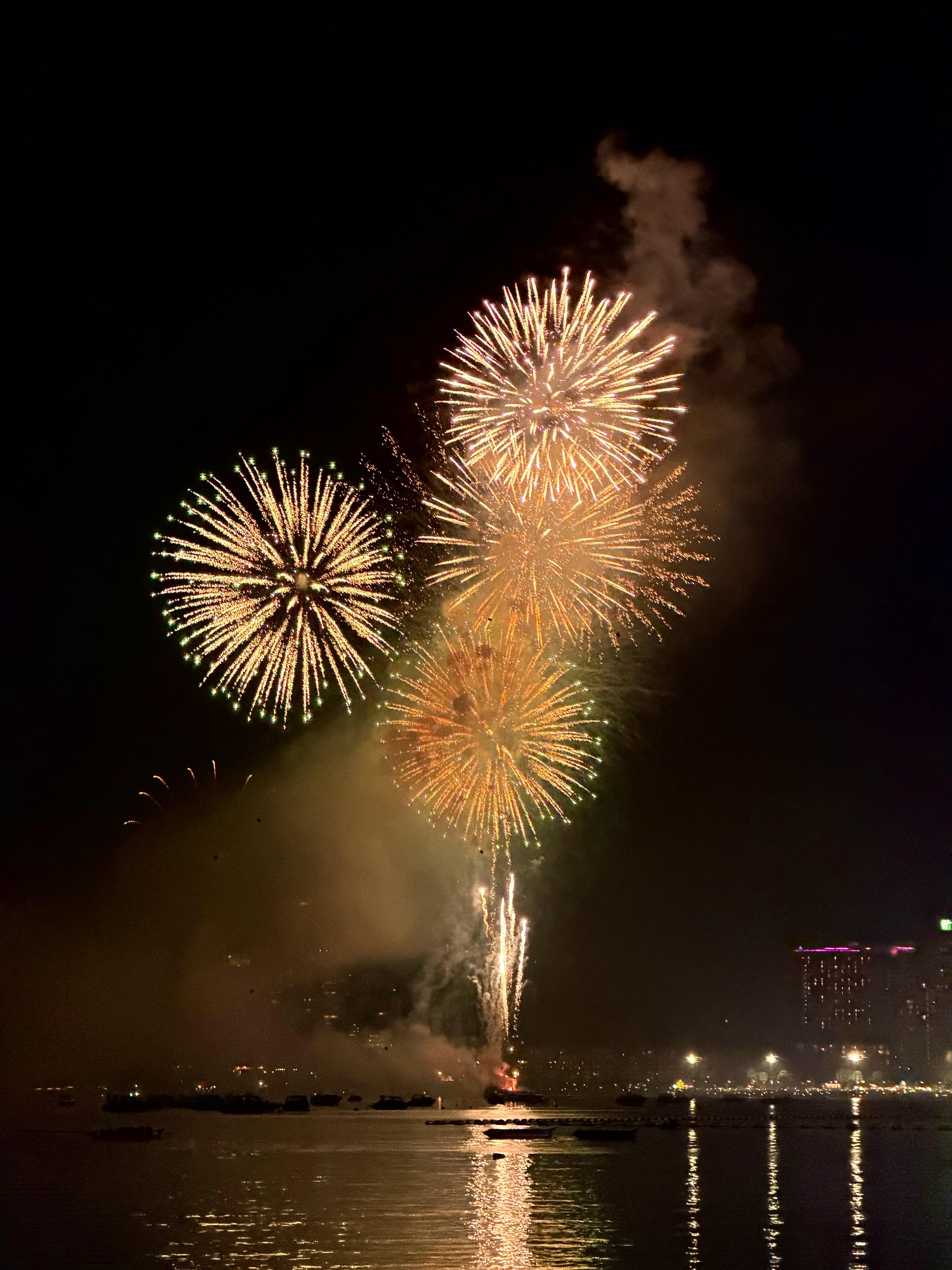 在芭提雅跨年啦，真理寺去了，绿山动物园去了，东方公主号去了，海滩上的烟花秀看了，