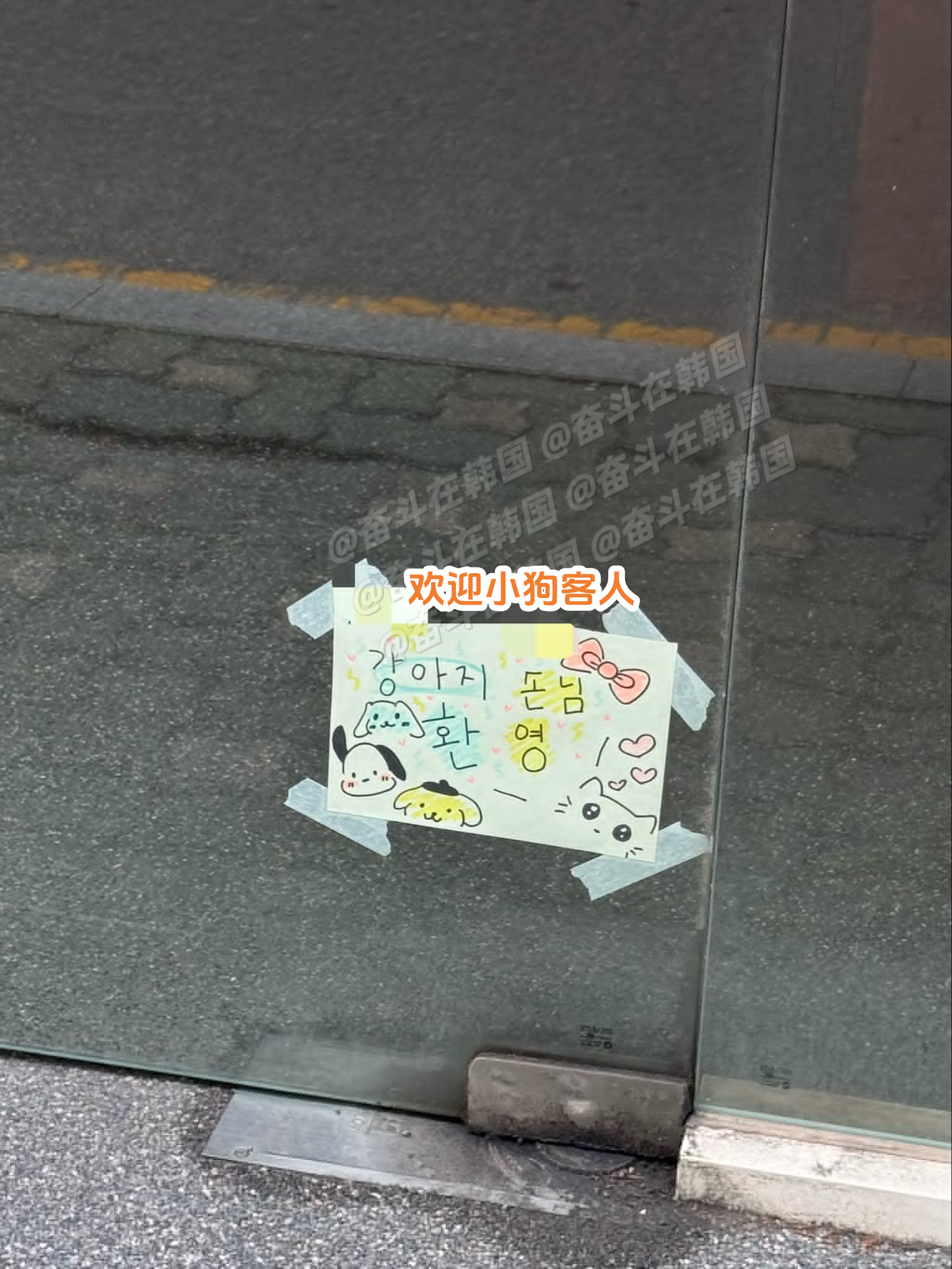 某家店配合小狗身高贴的纸：欢迎小狗客人~ 海外新鲜事 热点现场