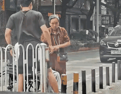 老奶奶推着老爷爷，准备过马路的时候，却发现轮椅车的宽度超过了十字路口铁栅栏的这个