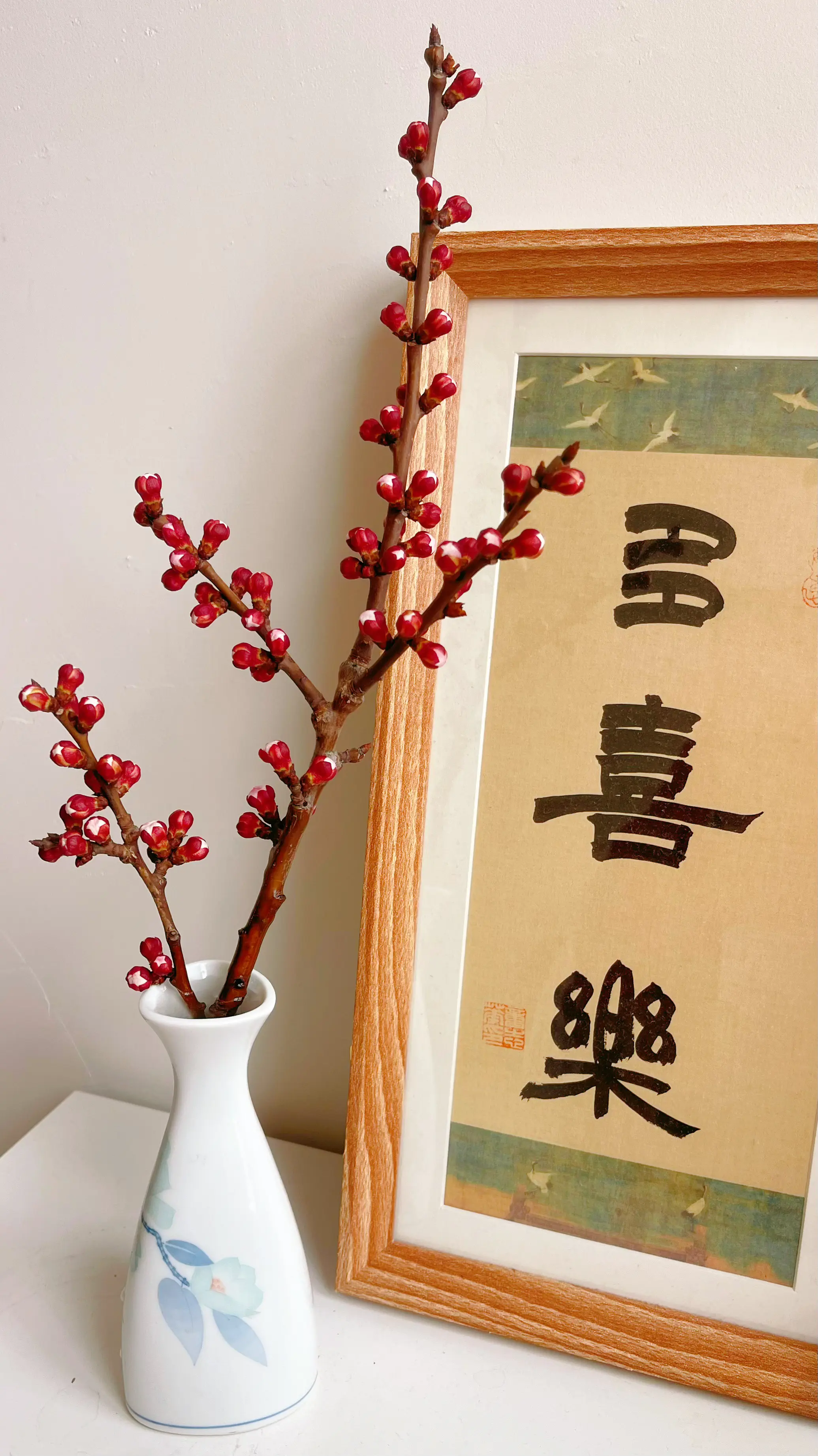 烟台的春天来了……