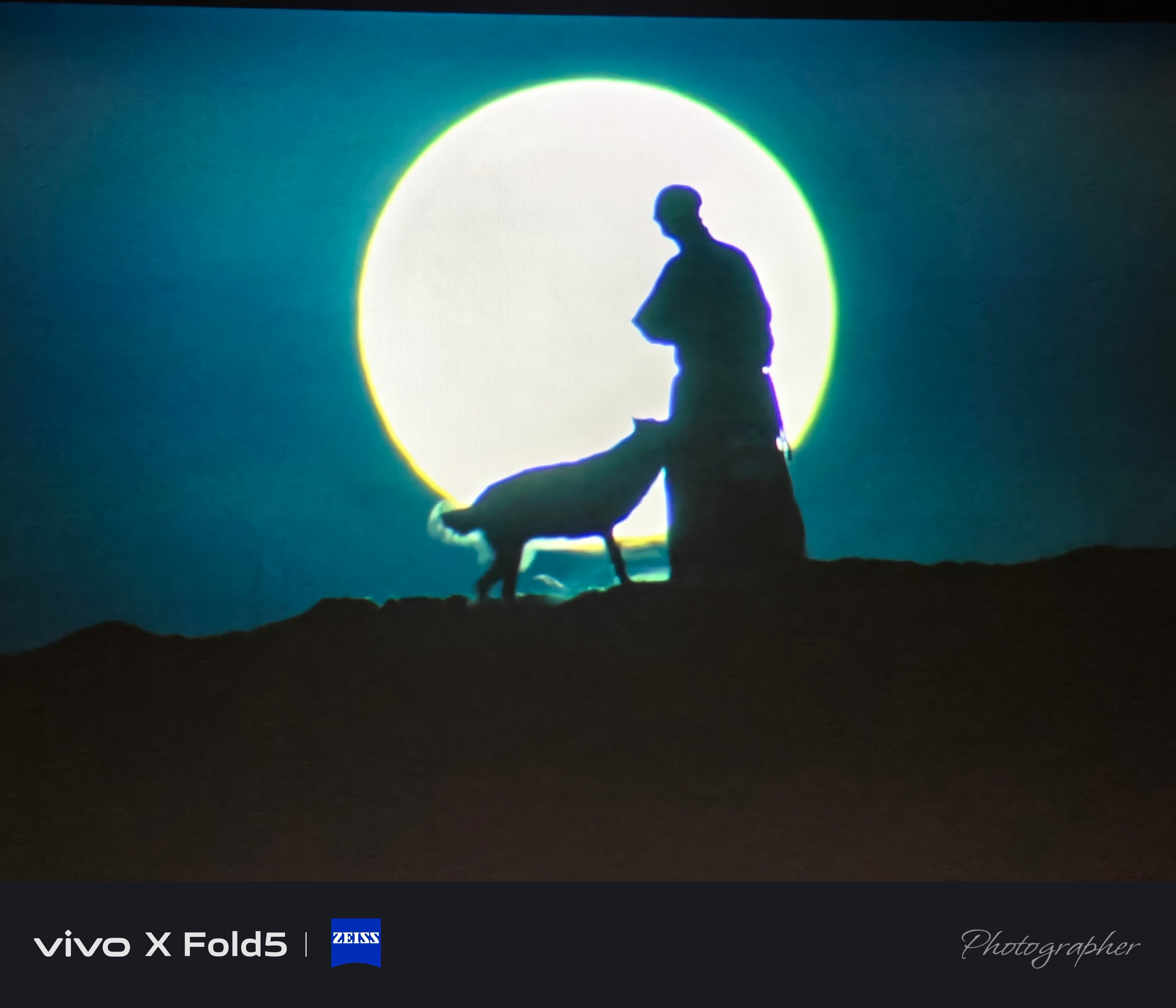 纪录片《重返狼群》还可以 