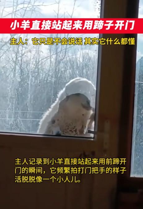 “要成精了！”河北，一男子正在里屋休息，突然听到有开门声，开始以为是有人来敲门了