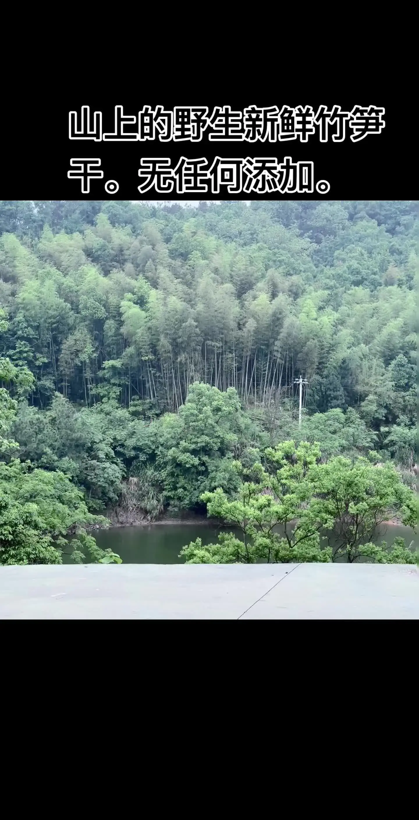 山上的野生新鲜竹笋干。无任何添加。