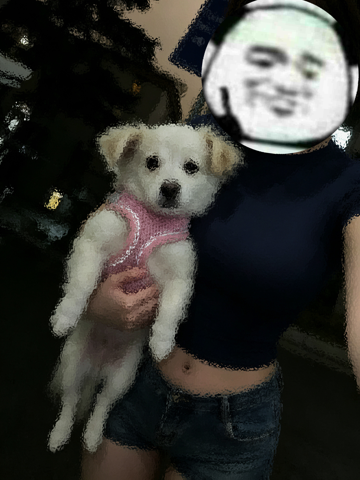 嘿！小狗！