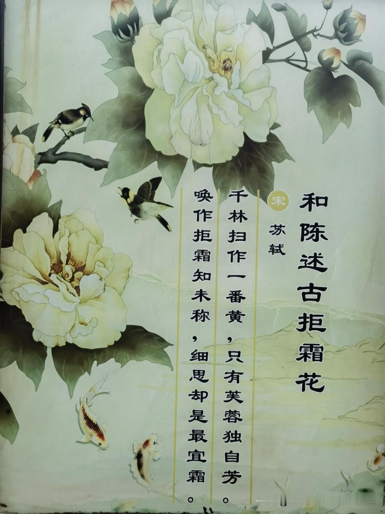 古风插画里的花朵系列，真是韵味满满。像樱花、梨花、垂丝海棠等，每一种花都带着春天