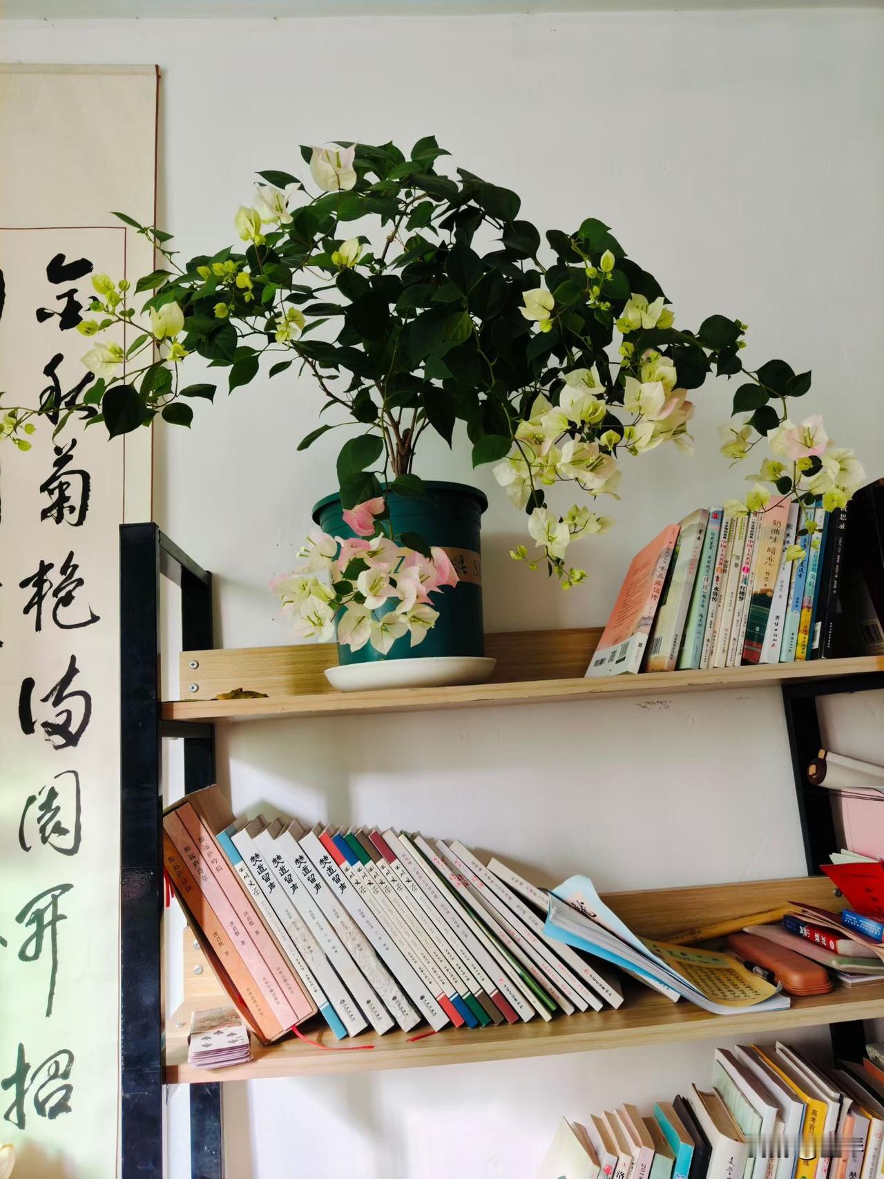 五十多岁才看清，母亲的心里，从来没有我的位置。


 
距离母亲上次来我家，已经