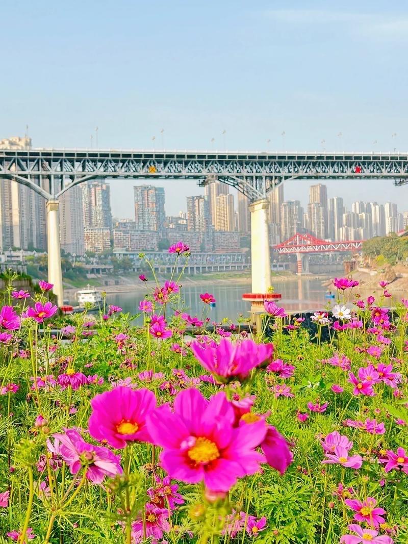 临江仙 · 春光 

久雨初晴天色靓，归乡乐赏春光。清溪碧树绕村庄。藕池鱼跃水，