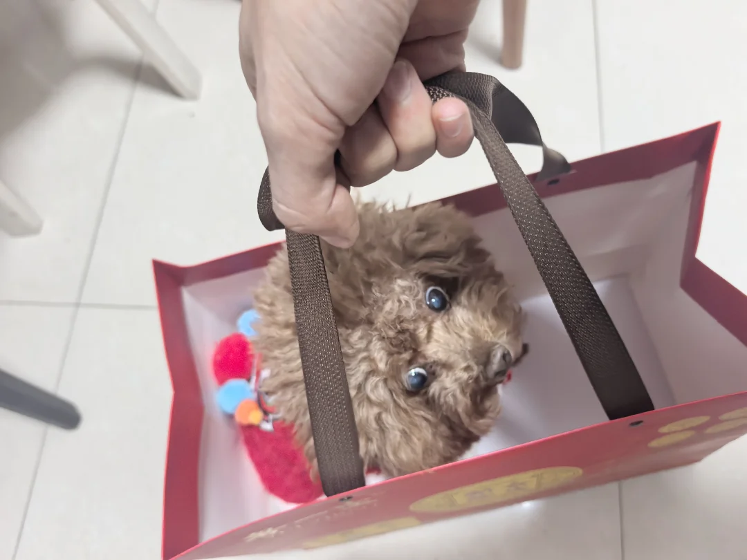 你们年货发了什么？这是我的