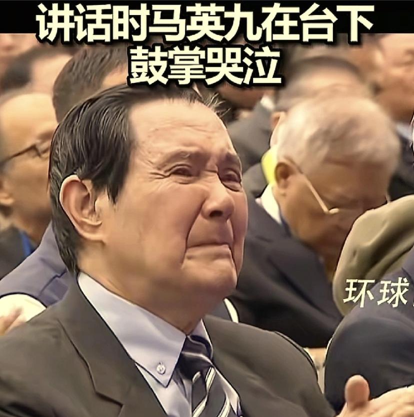 郑丽文或许都没想到，
她正式接任国民党主席的这一天，
最抢镜，最激动的不是她，而