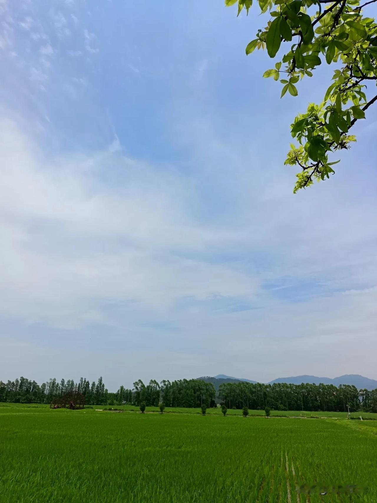 分享一张你相册里的天空风景照
