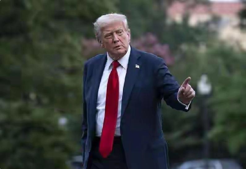 特朗普：高市早苗特别喜欢我特朗普的这句话带有调侃的意味，实际上他所想表达意思，应