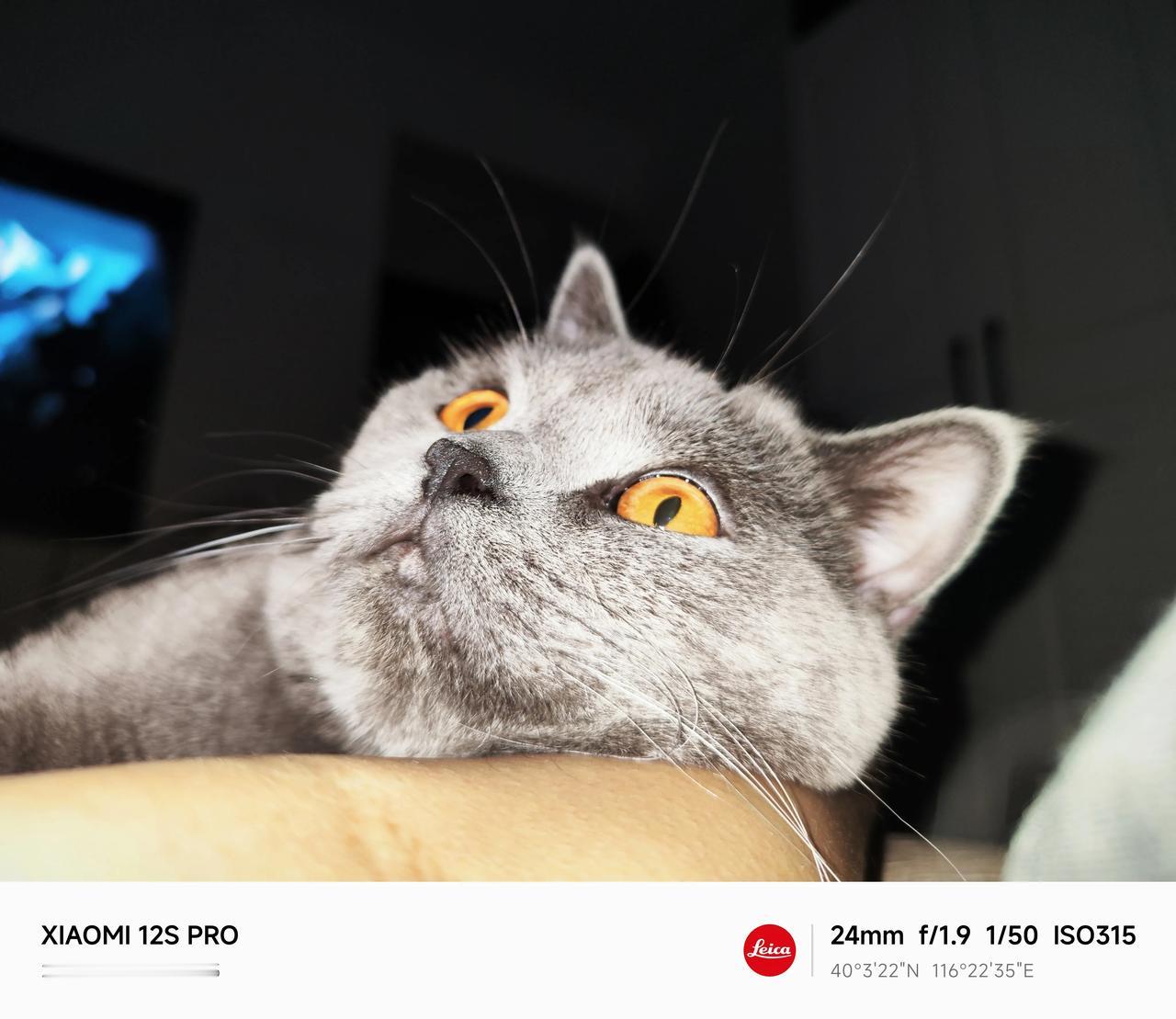 用小米12S Pro拍摄的照片。