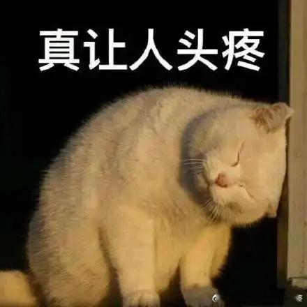 台媒曝林俊杰看七七直播一见钟情下面这张图最能代表我看到这个话题的心情！害，没完没