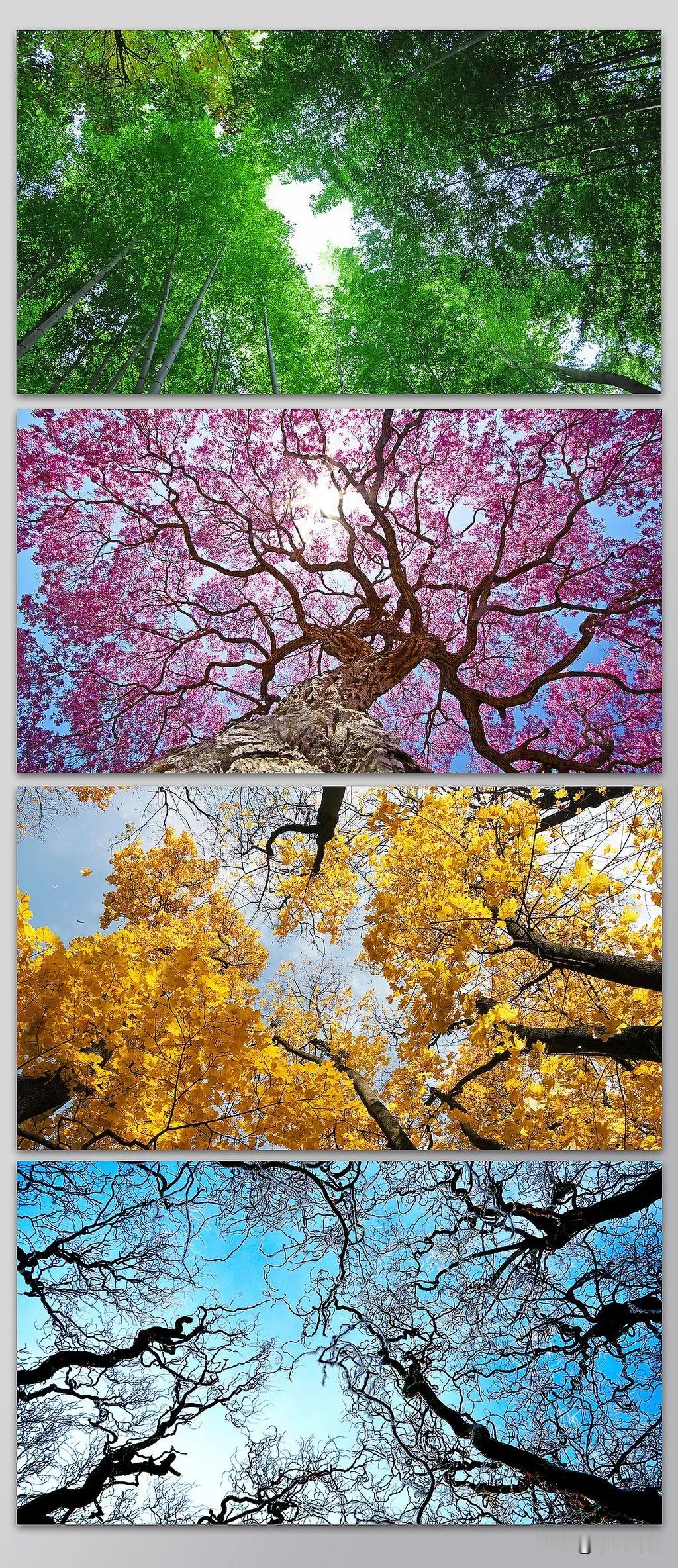 写意四季风景，安然人间值得