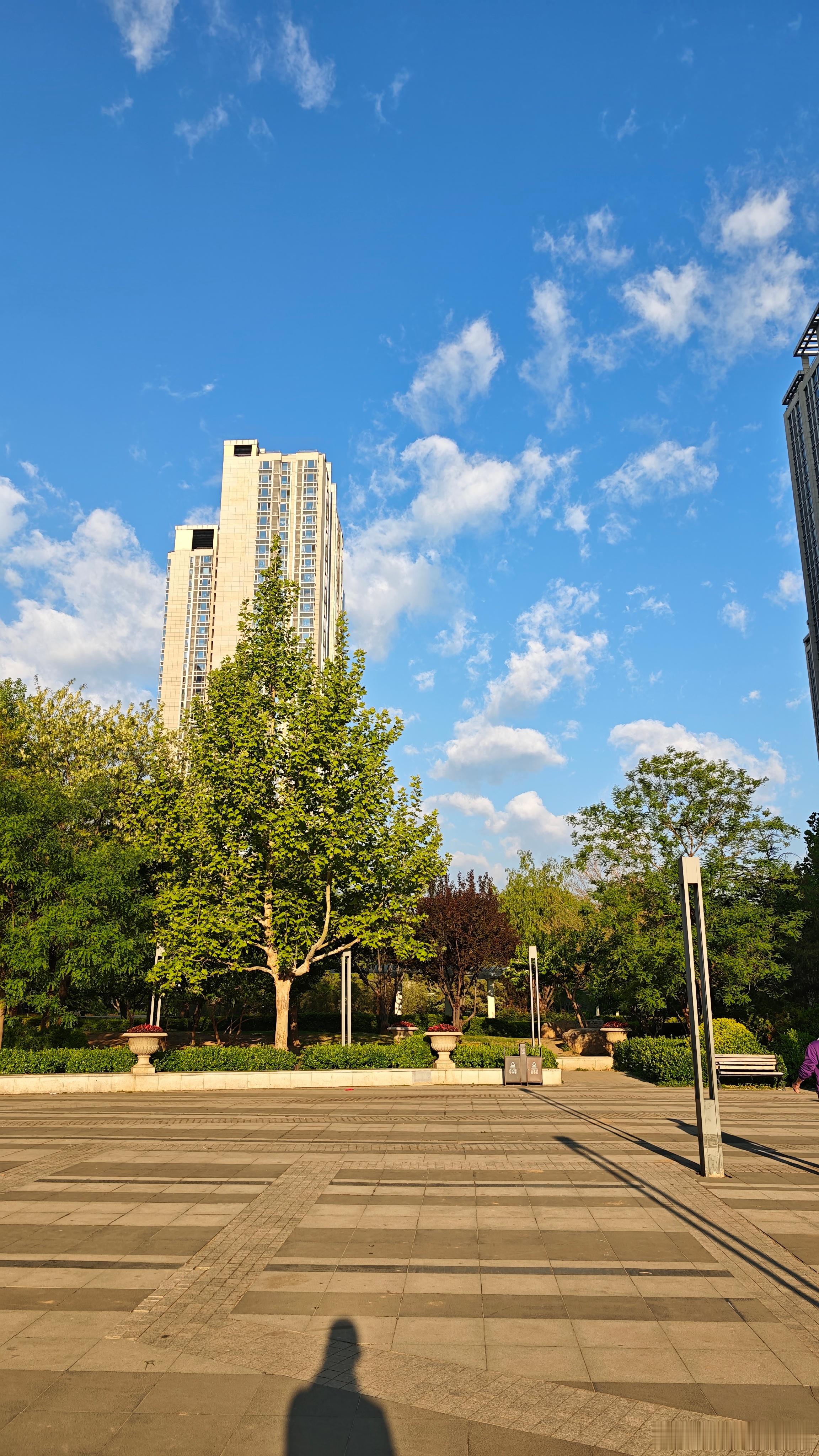 棉花糖 早~我的日常plog