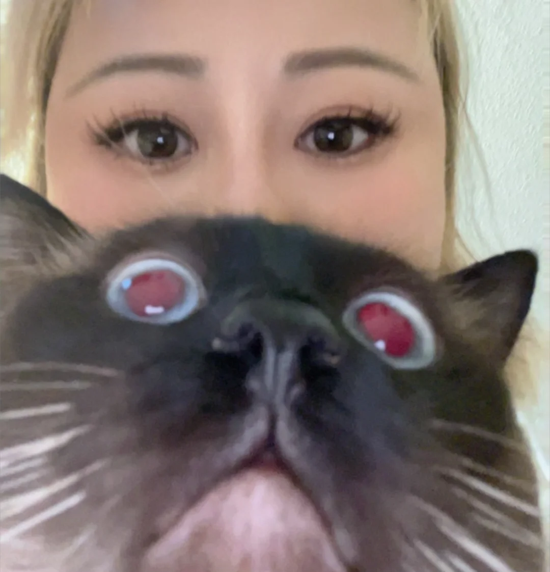 这小玩意儿