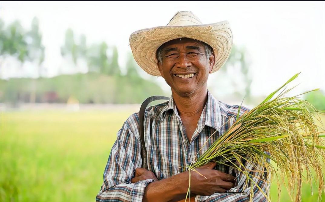 城乡居民基础养老金月最低标准为何连续三年上调20元？这背后透露出哪些信息？
城乡