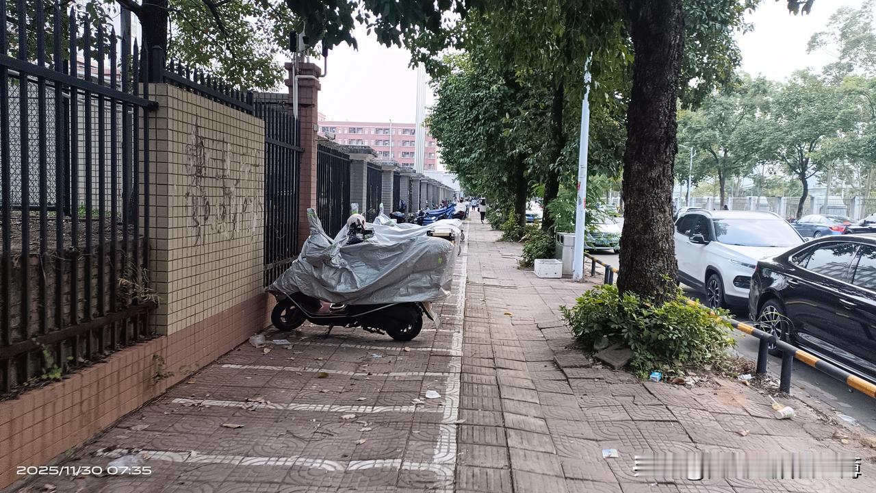 2025.12.1    晴    广州从化
今天又是新的一个月，也是今年的最后