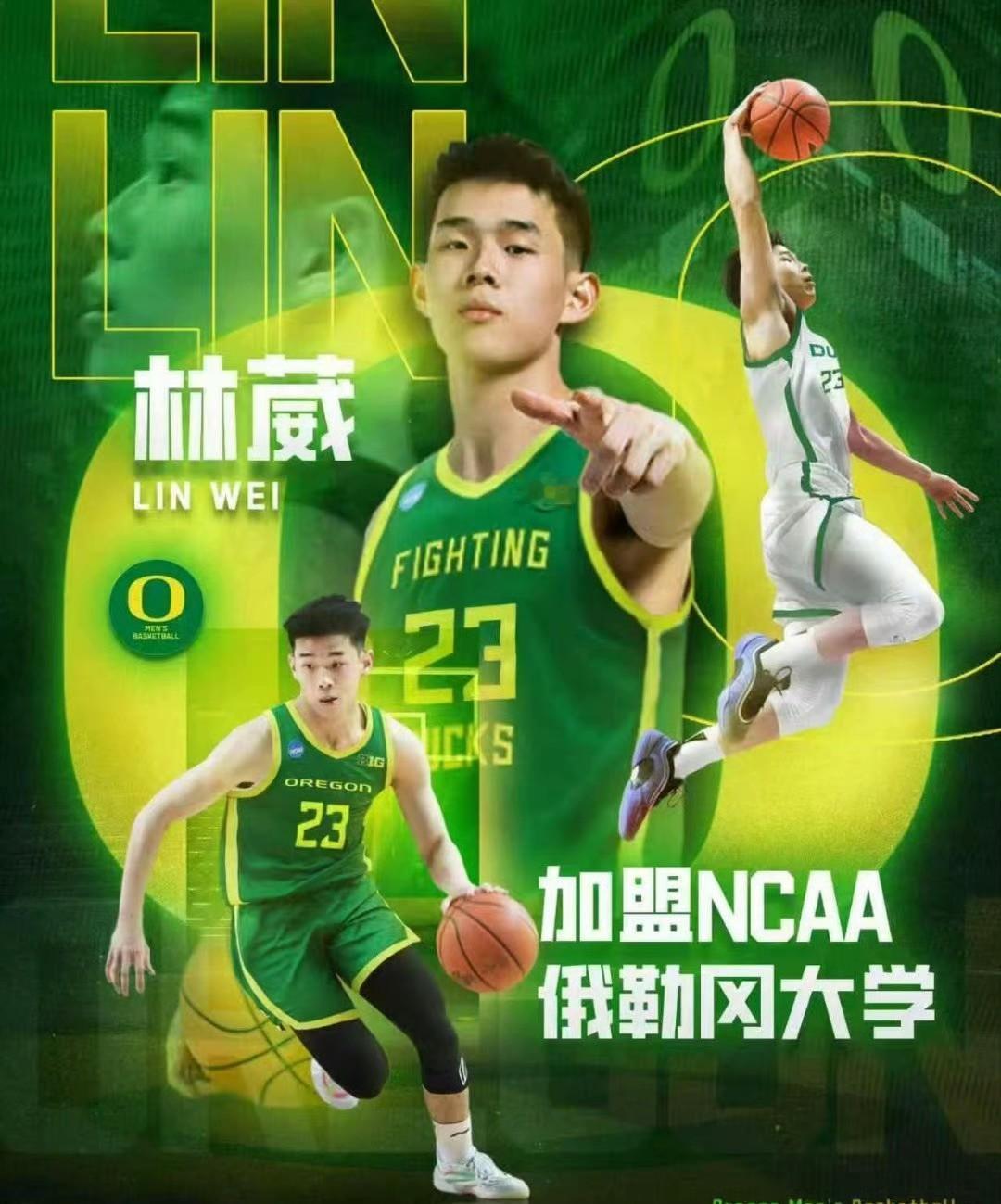 不愿躺平的CBA新星！新赛季林葳加盟NCAA俄勒岗大学，他应该是首位打过CBA再