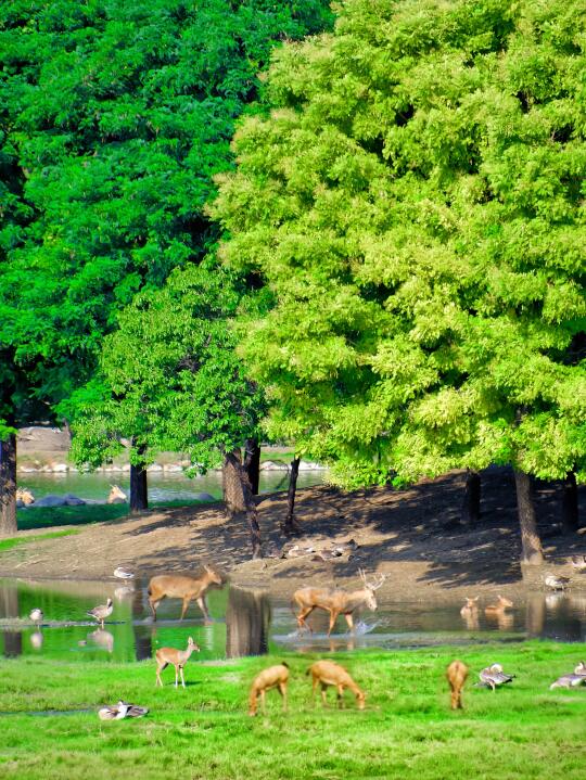号外❗️北京居然有咱自己的“阿勒泰”附攻略