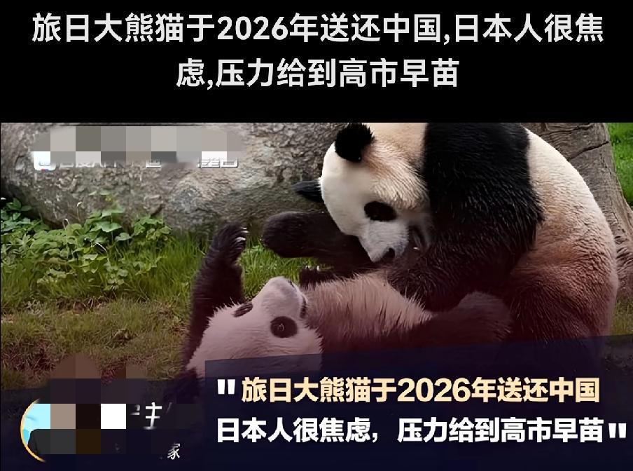 借出去点啥往回要真是太难了
日本终于要送回大熊猫了
真替大熊猫开心，遇到这么没有