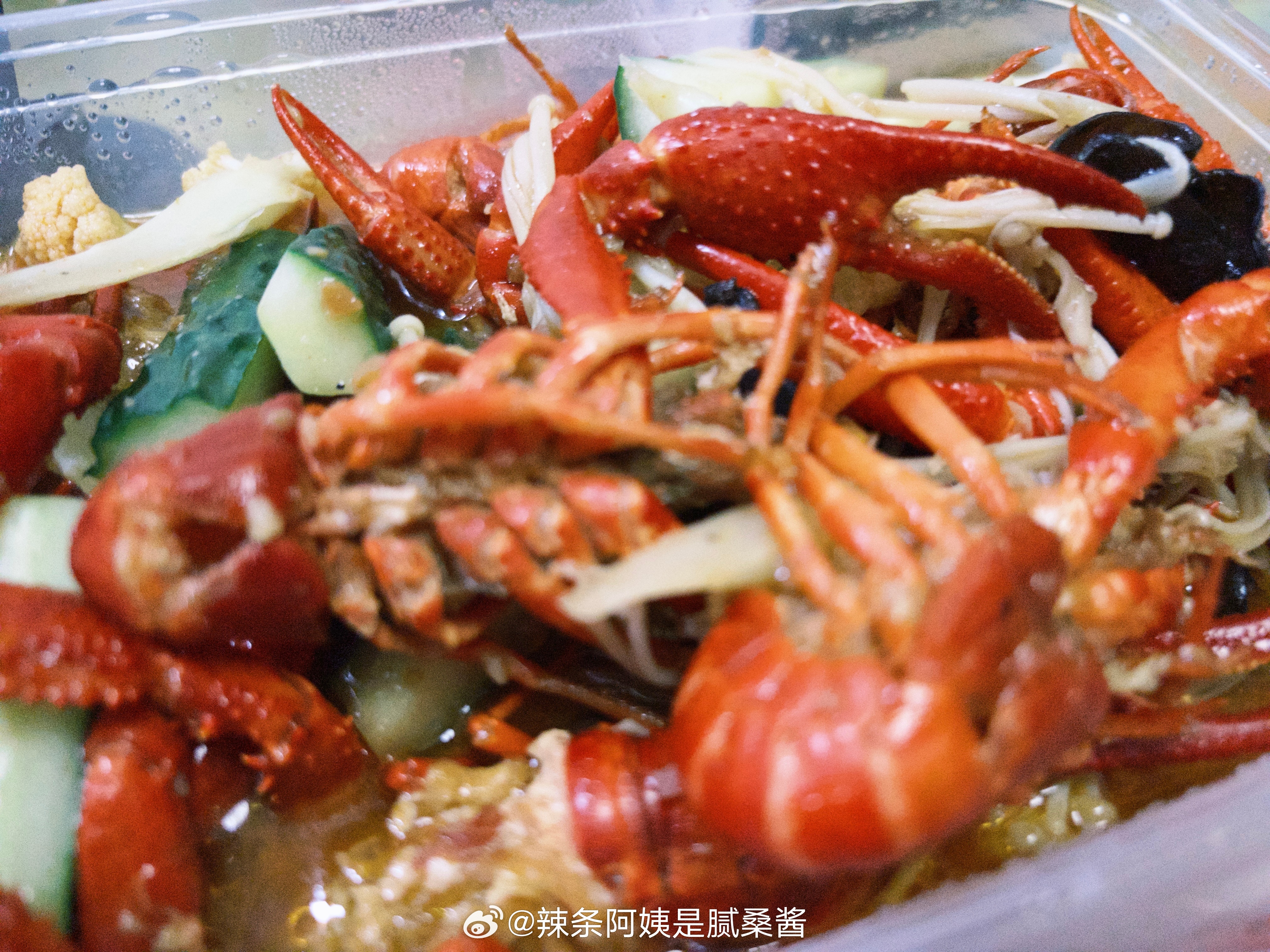 天天美食日记 莆田