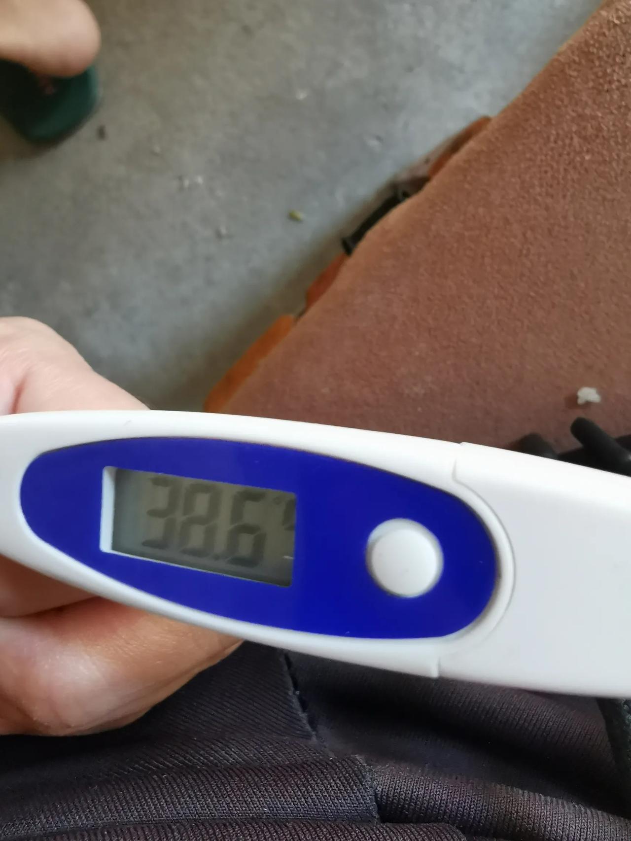 昨夜退烧精神一小上午，今天下午开始越来越热了，真的烦呀！