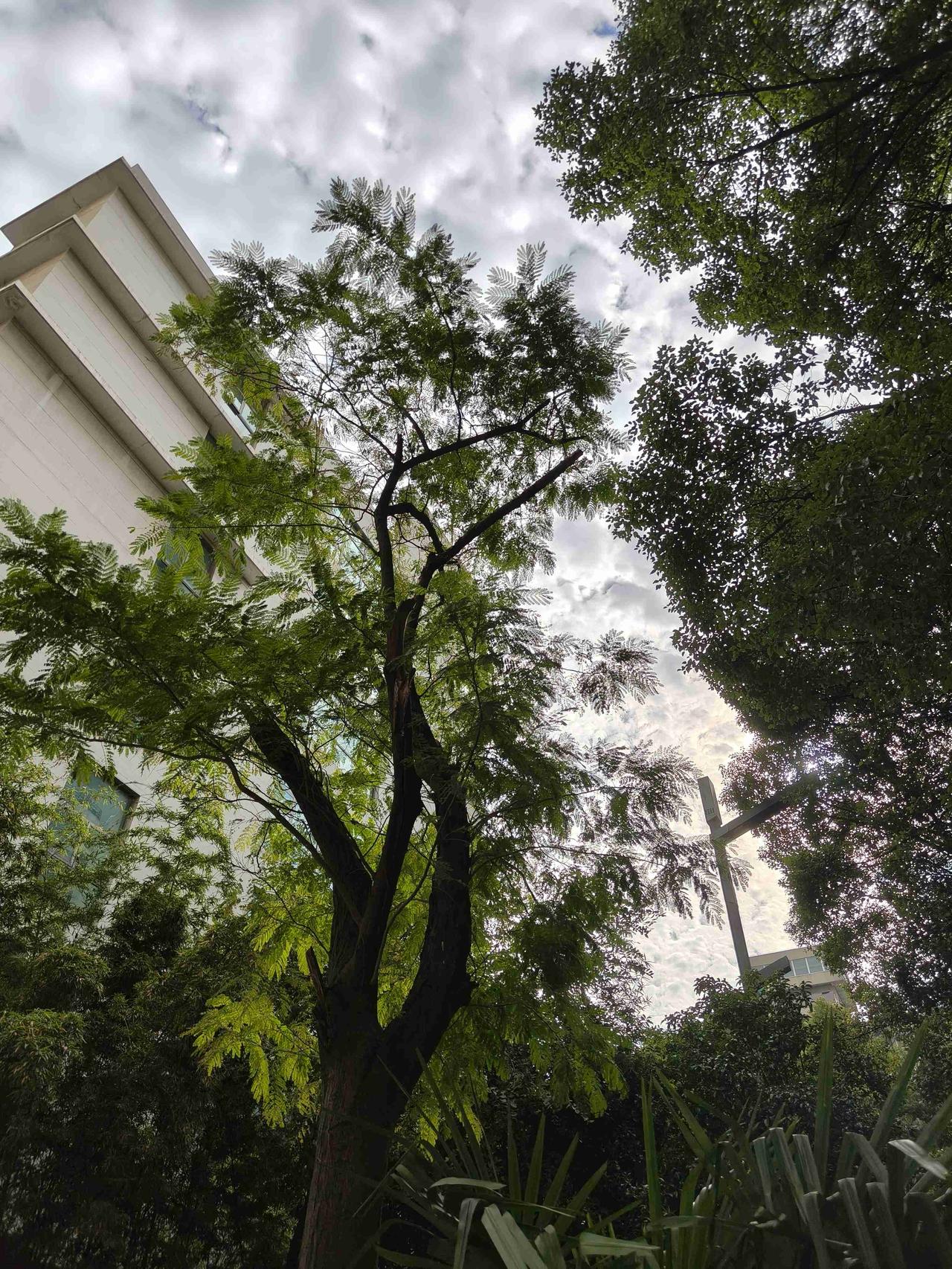 我的今日状态：💪🏻充满干劲
我这里的天气：🍂微风