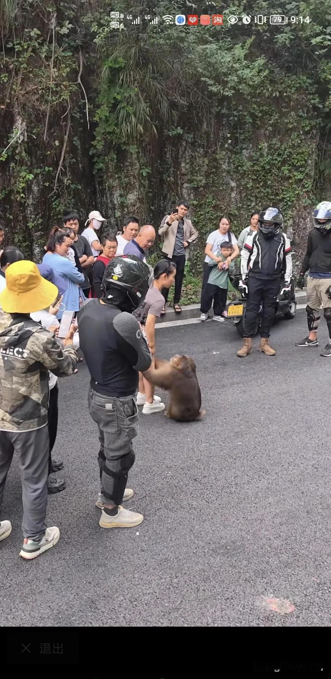 为何如此冷漠？

在一个阳光明媚的午后,游人如织的某知名景区里,突然响起一阵尖叫