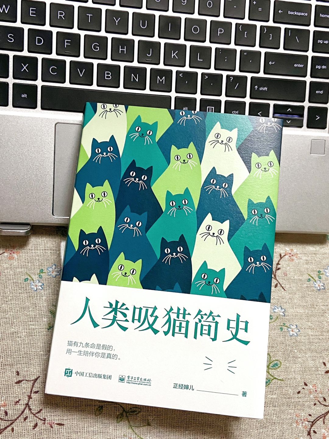 🐱这辈子最幸福的事，就是拥有一只猫~