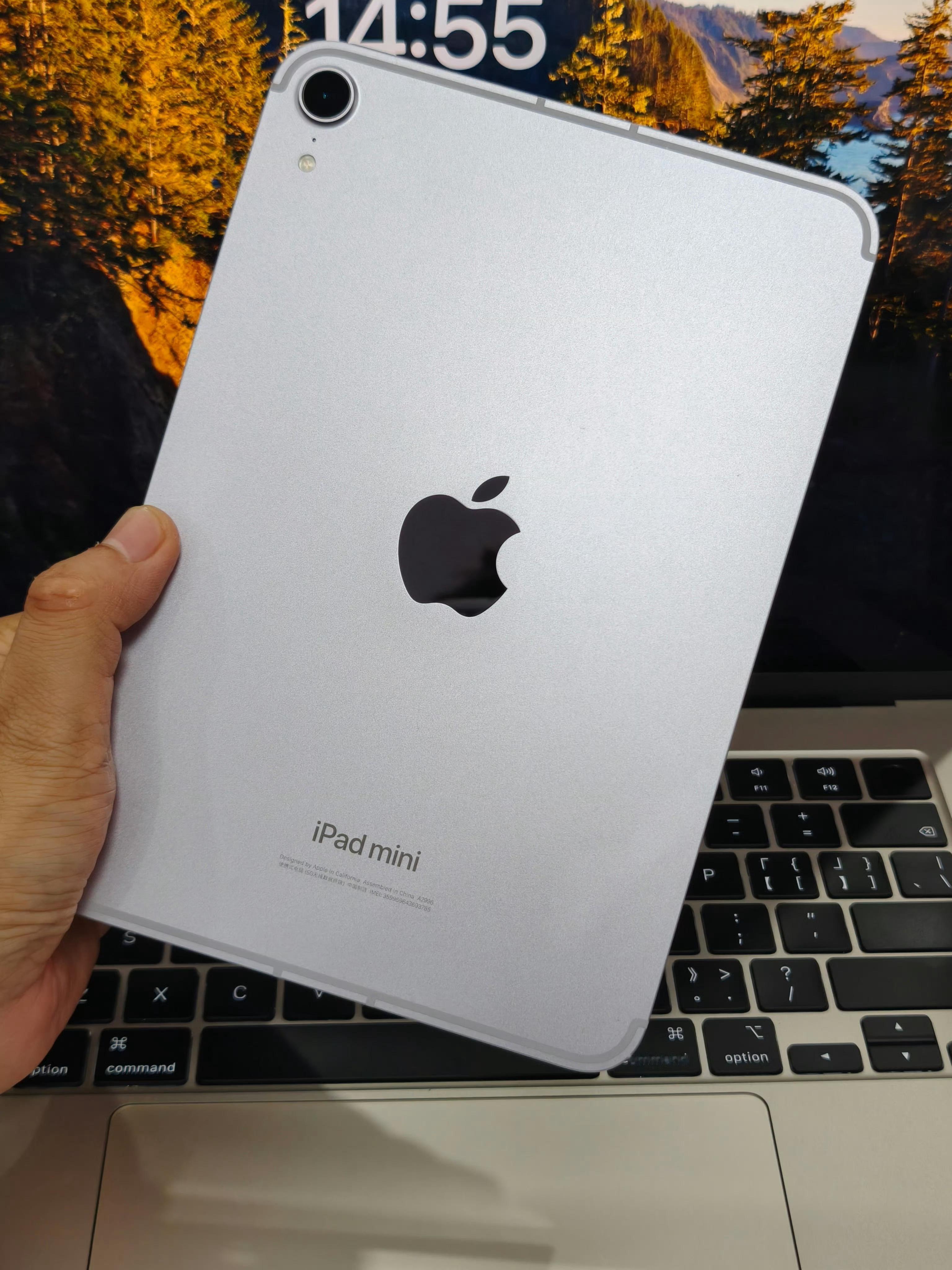iPad中国市场份额大跌 年初买的iPad mini7本来想着看看电子书、刷刷视