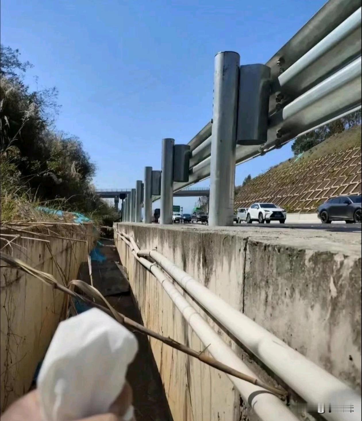 我敢说这是2026年最勇敢的人