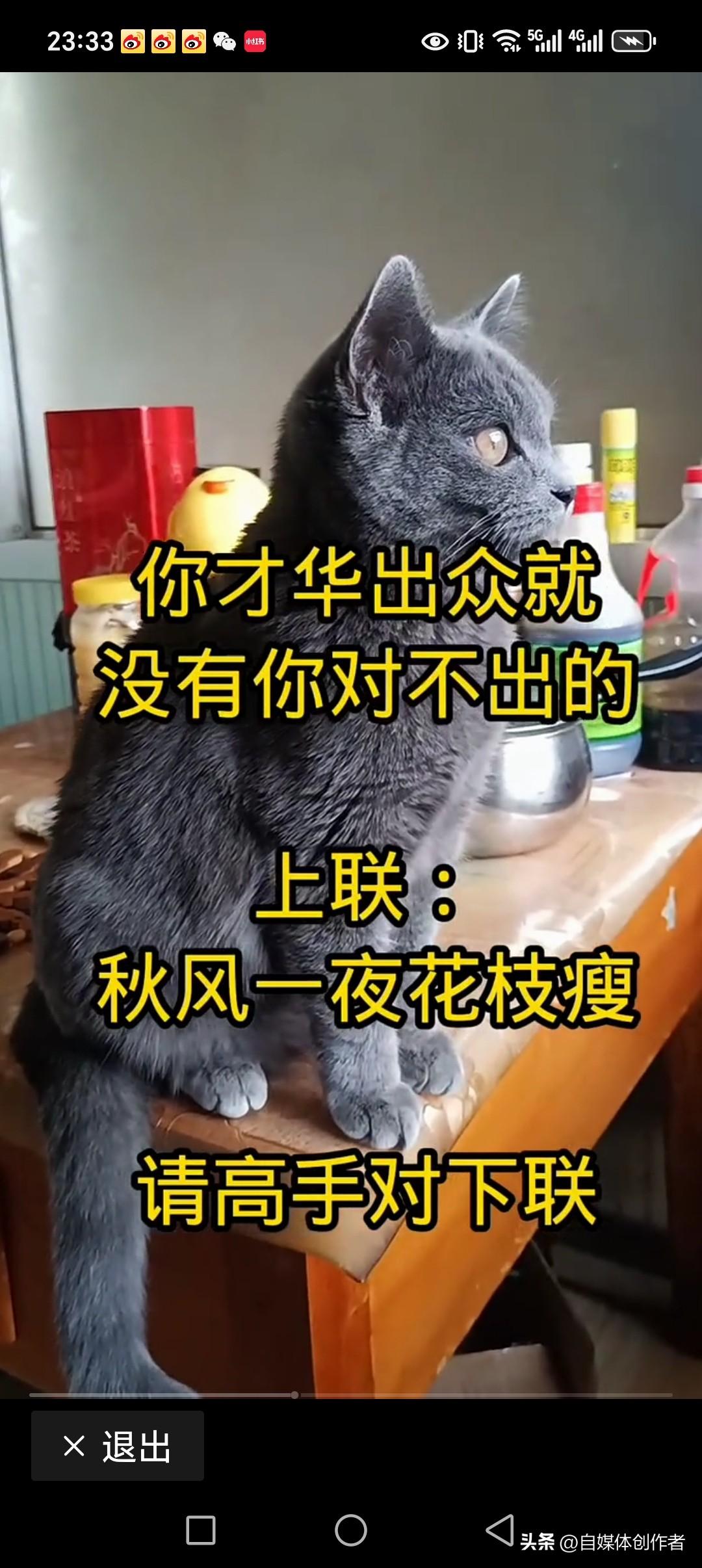 秋风一夜花枝瘦
春雨润物草儿肥