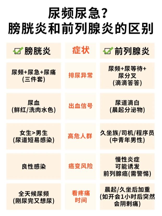 出现尿频尿急，如何区分膀胱炎与前列腺不适？