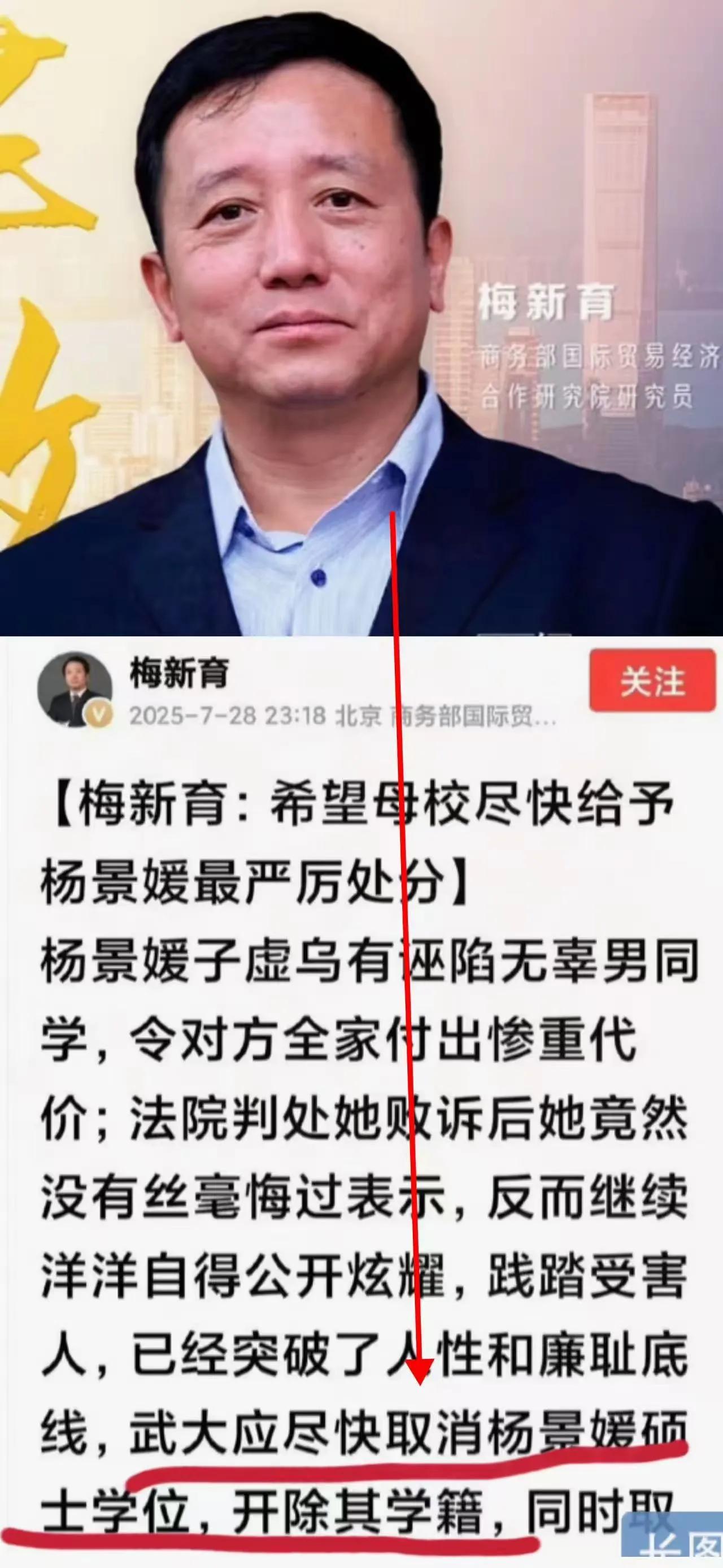 “正义的声音终于出现了！”武汉大学的梅新育，发起联名信，希望母校尽快给予“图书馆