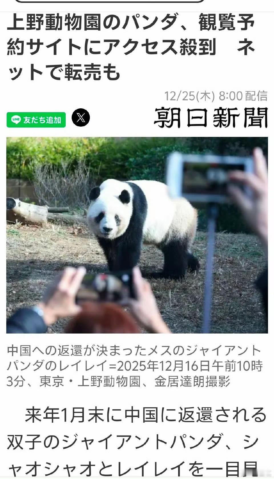 上野大熊猫“晓晓”和“蕾蕾”即将回到中国，为了限流，日本人每天只能通过预约方式去