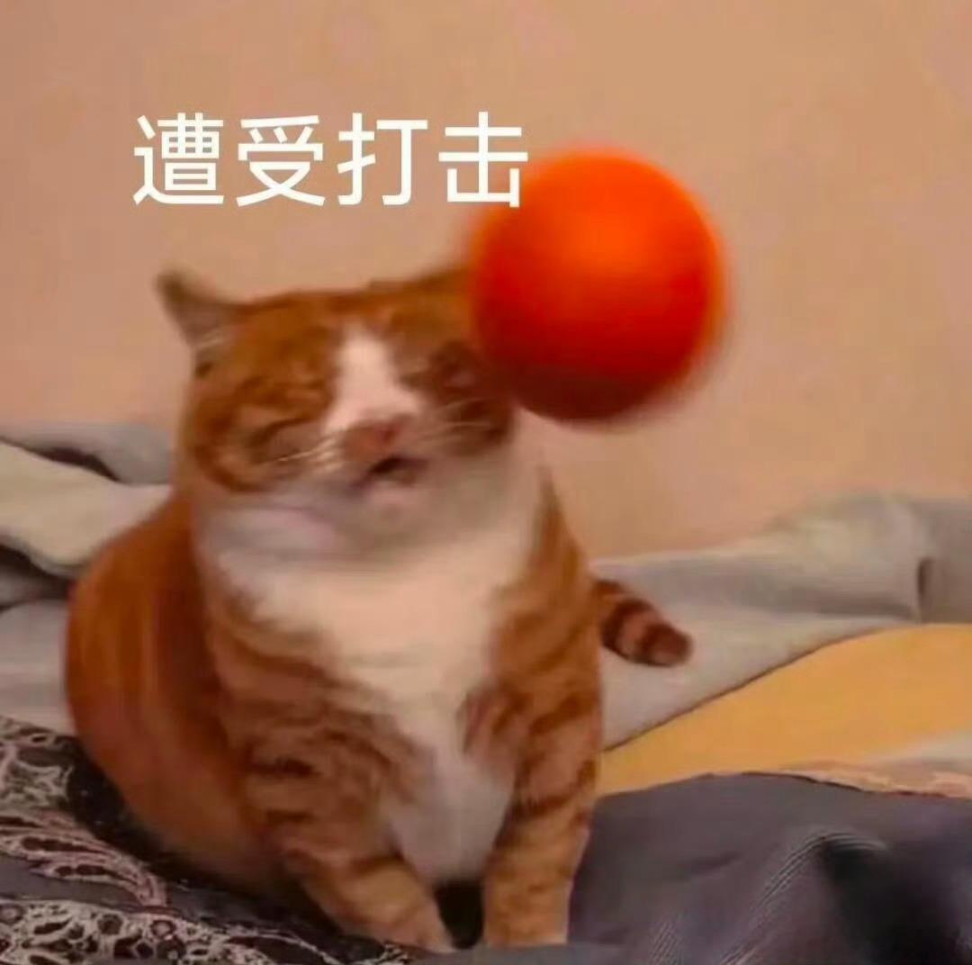 LV起诉国家知识产权局 简直倒反天罡当初没保护这些传统纹样，现在想说是自己的就很