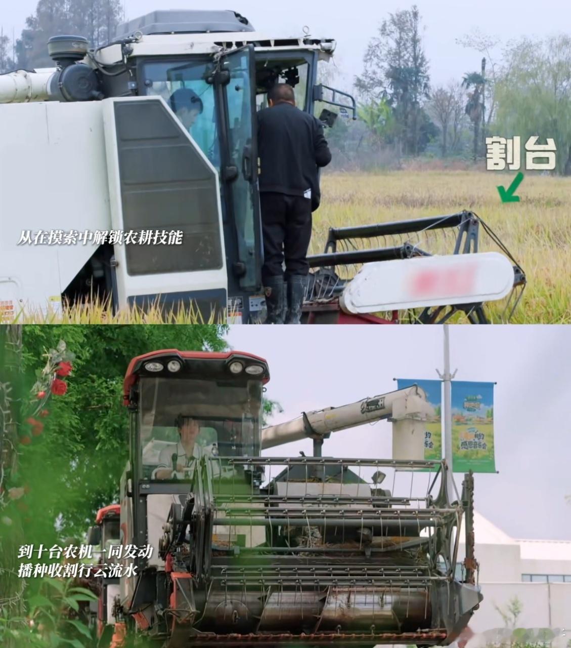 种地吧转场回望四年后陡门是少年们的初心起点，无论走多远，这里都是他们心中最安心的